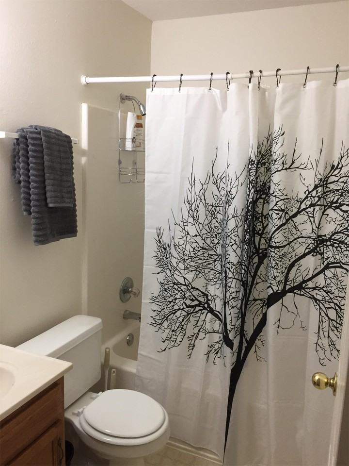 1536 Clifton - 2 #2 - Photo 6 of 18