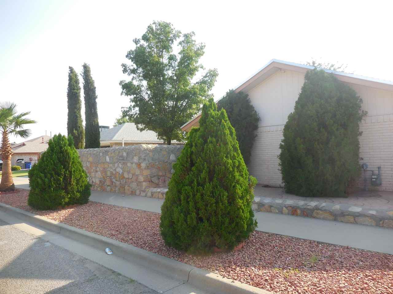 11448 Lake Alice Dr - Photo 3 of 23