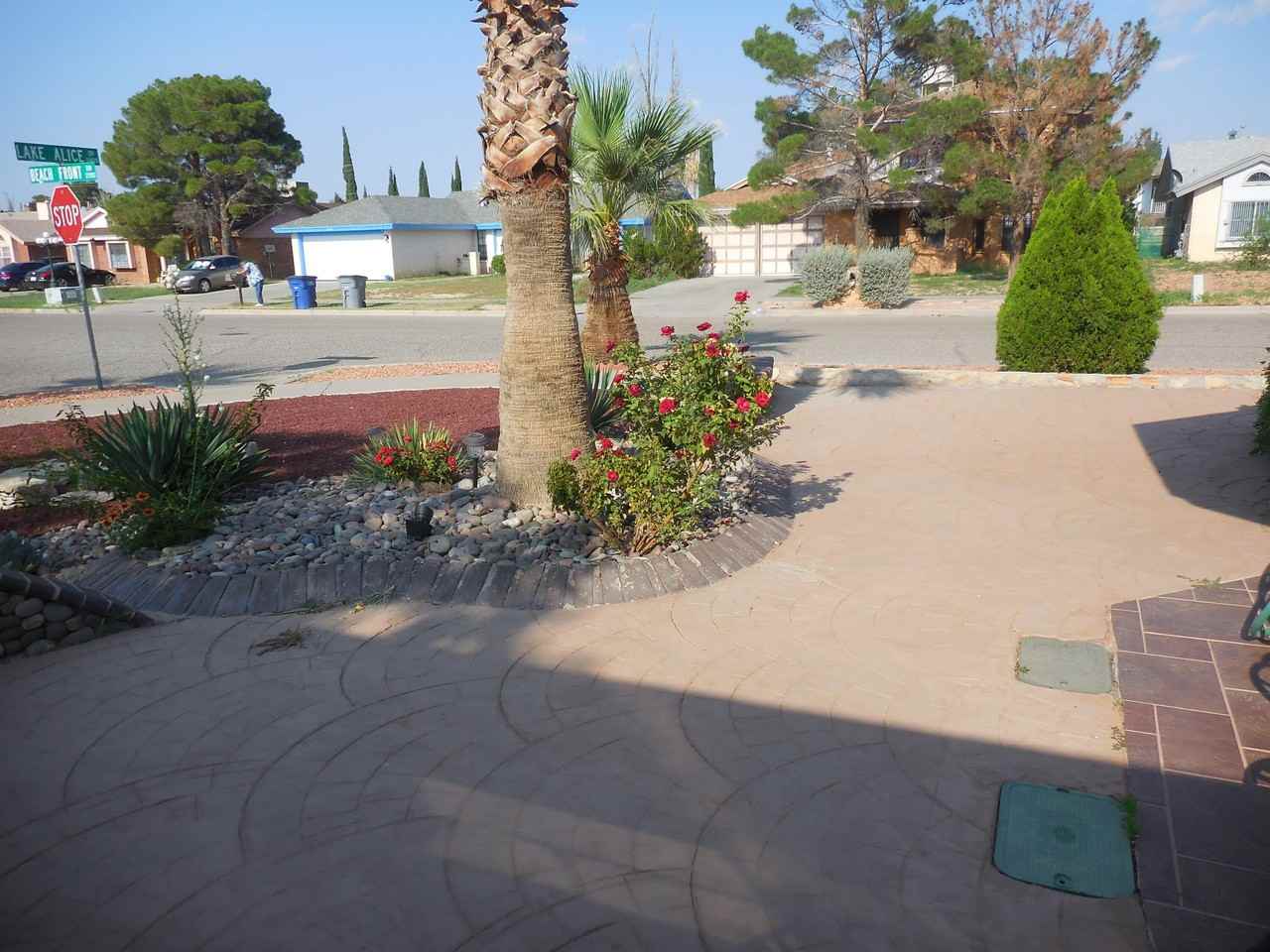 11448 Lake Alice Dr - Photo 5 of 23