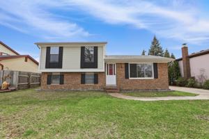 featured image of 41427 Larimore Ln