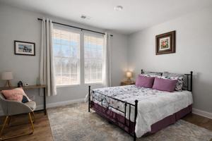 featured image of Black Walnut St