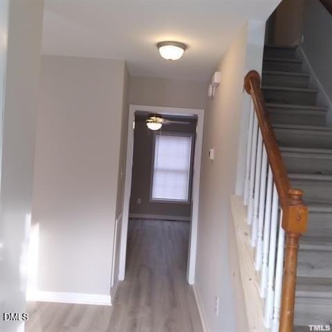 1017 Holmes St - Photo 7 of 11