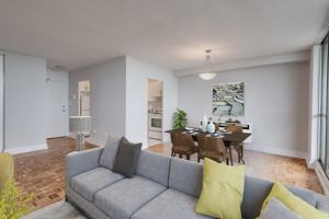 featured image of 50 Cordova Ave