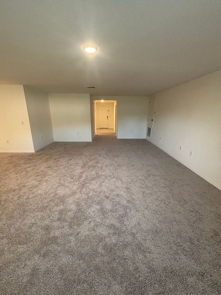 539 Finch Ct - Photo 4 of 23