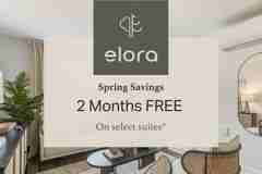 Elora - Photo 1 of 1