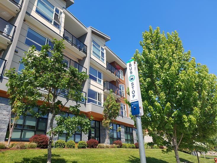 Le Sequoia on Watkiss - Photo 2 of 10