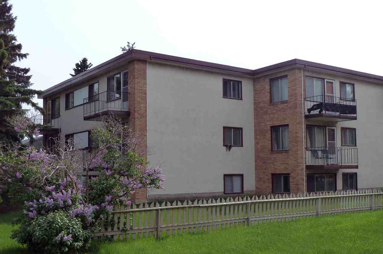 Jasmine Court - Photo 5 of 10