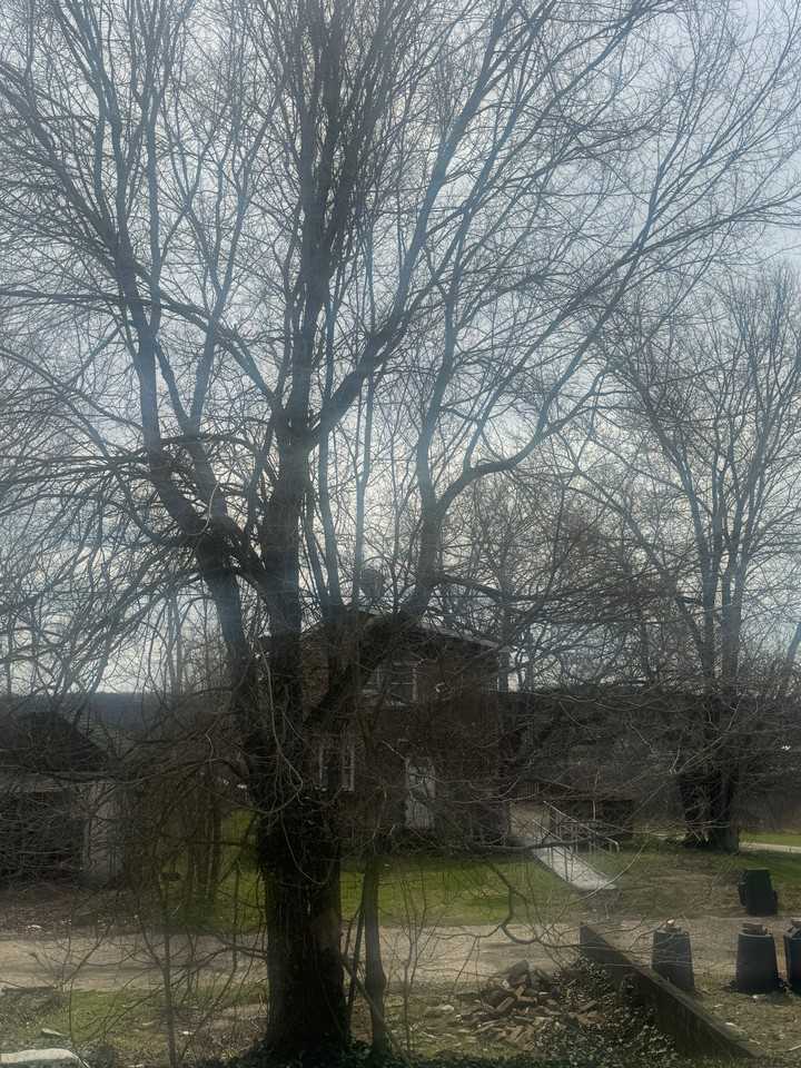 2310 Jenny Lind St #1 - Photo 2 of 13