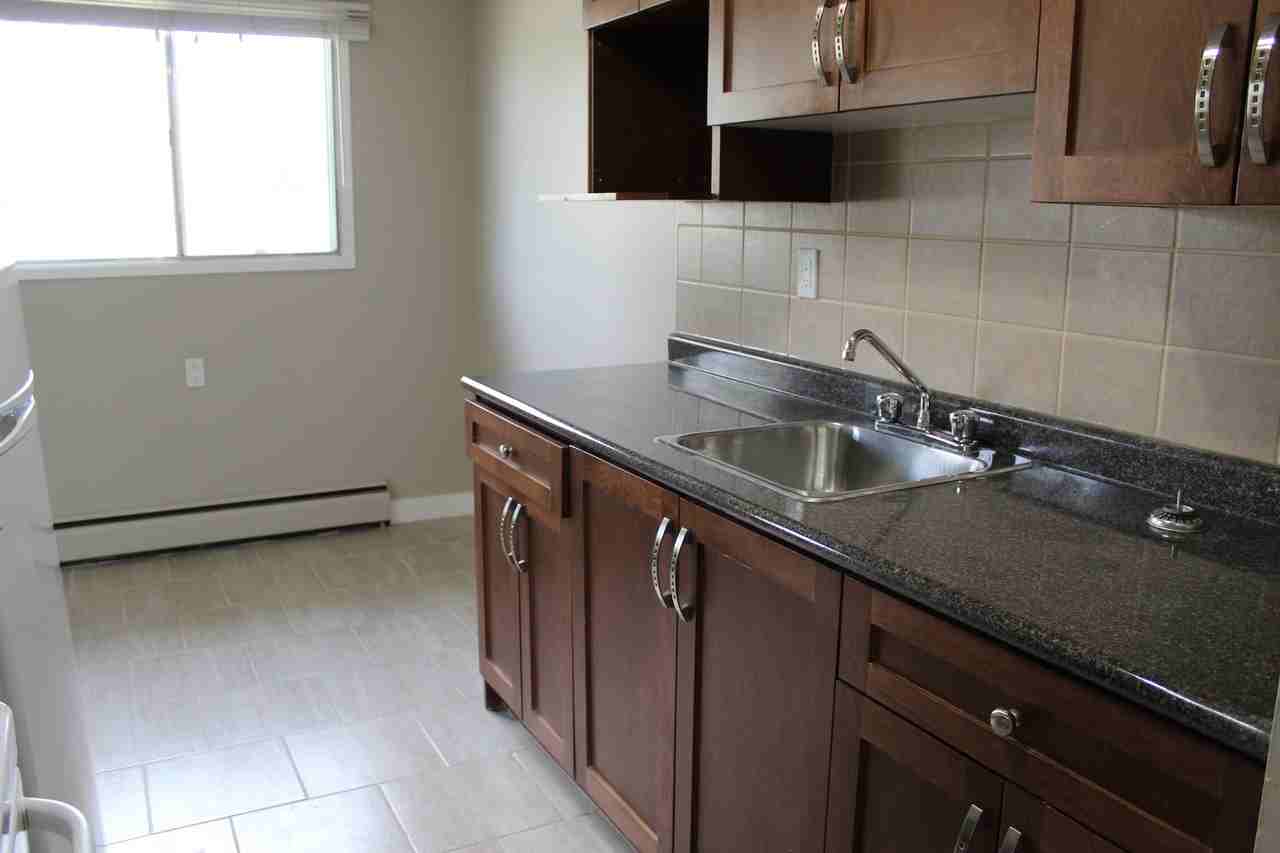 Willow Apartments - Photo 6 of 16