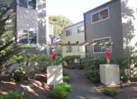 featured image of 868 Lighthouse Ave #L