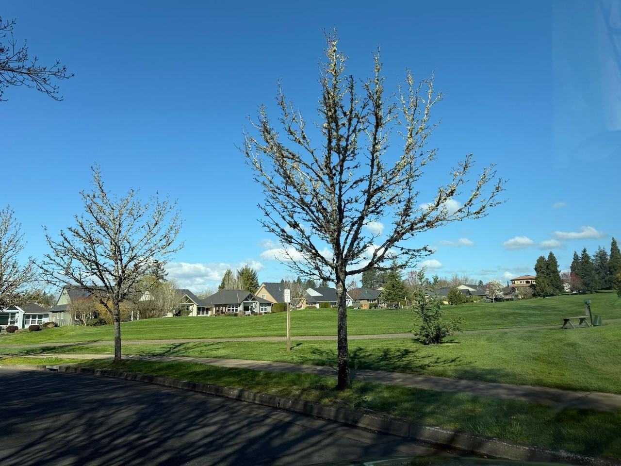 4318 Sw Agate Ave - Photo 7 of 37