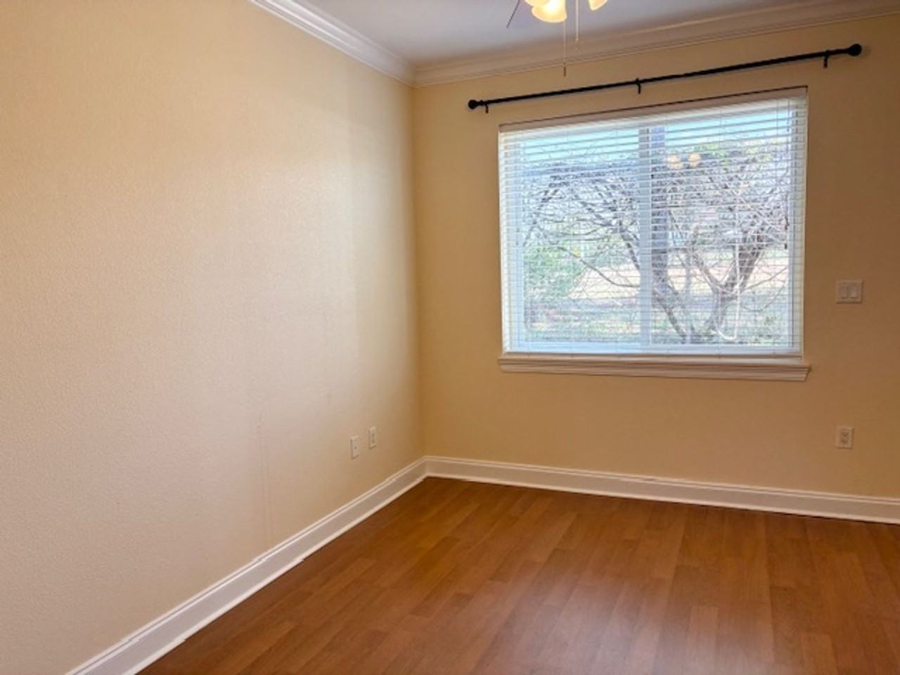 532 Valparaiso Pkwy Apt B - Photo 4 of 18