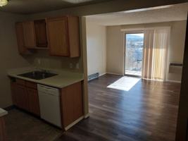 featured image of 321 N 5th St ##21