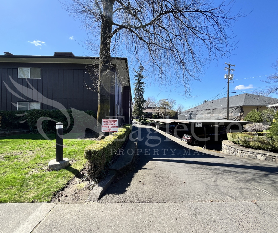 364 Catherine St #M1 - Photo 3 of 20