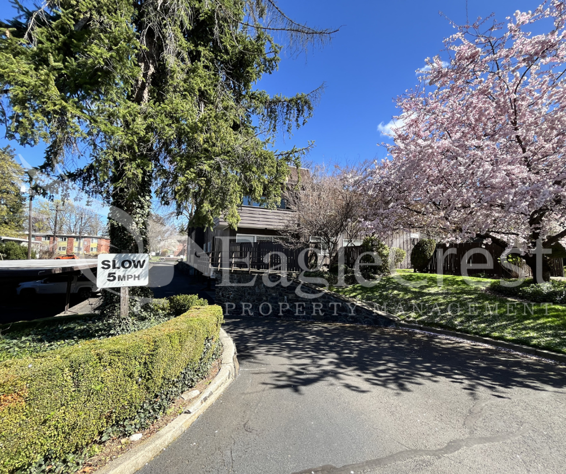 364 Catherine St #M1 - Photo 7 of 20