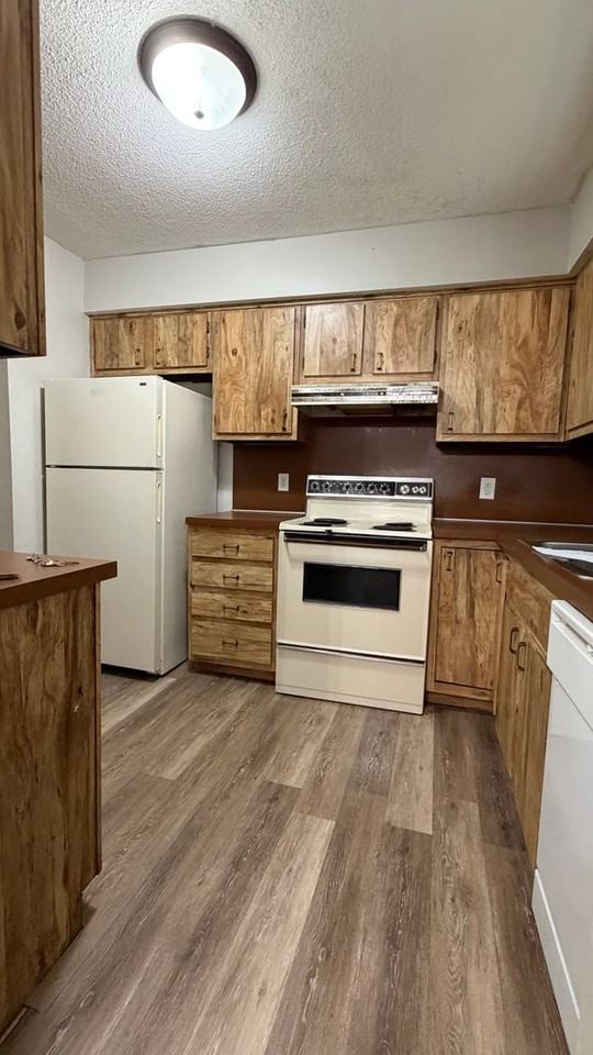 5901 Ryewyck Dr - Photo 4 of 11