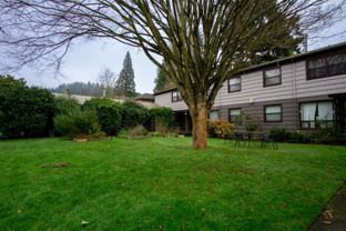 301 - Lolita Rose - Photo 1 of 1