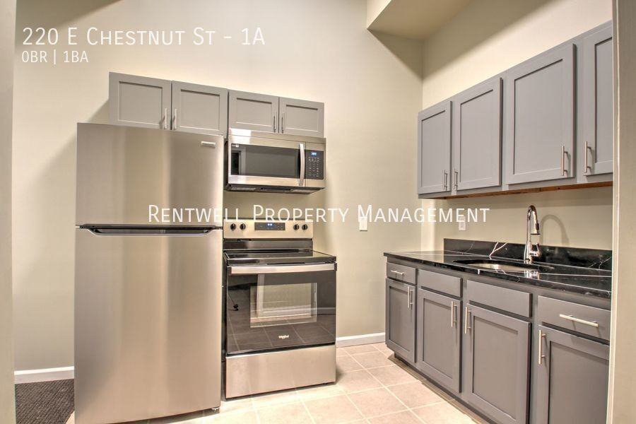 220 E Chestnut St #1A - Photo 4 of 9