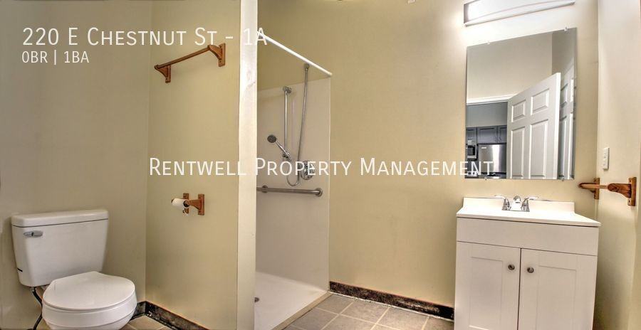 220 E Chestnut St #1A - Photo 6 of 9