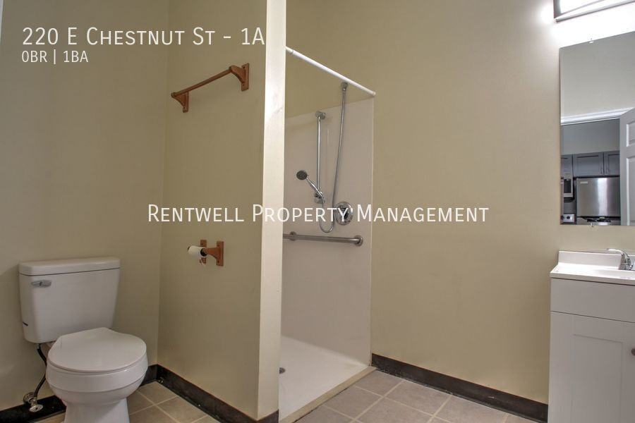 220 E Chestnut St #1A - Photo 7 of 9