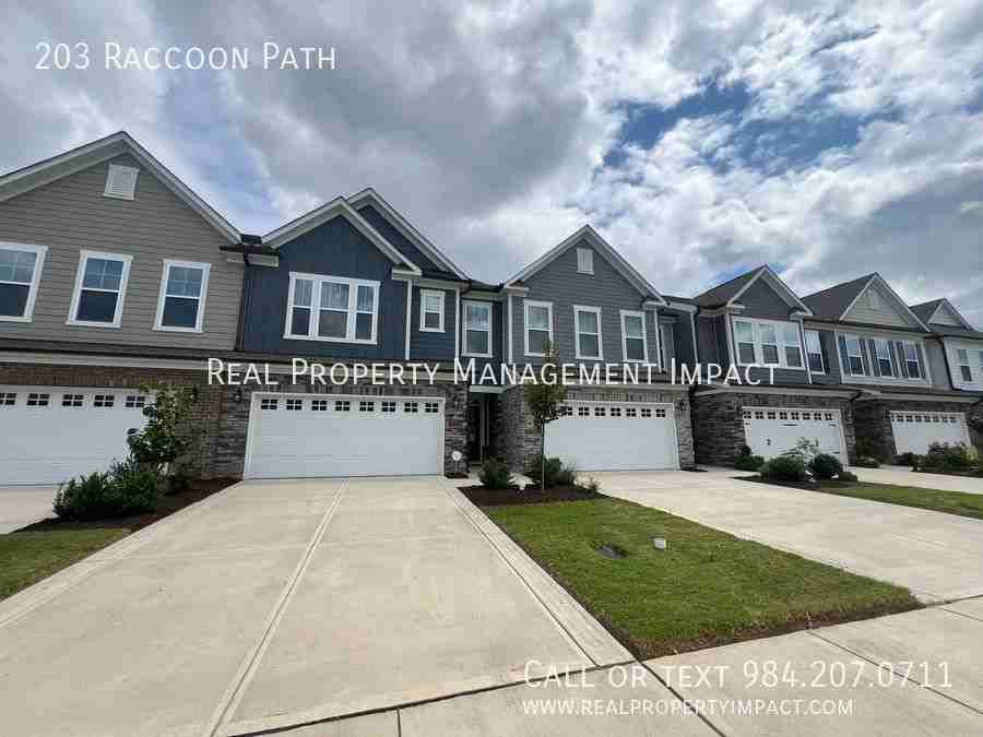 203 Raccoon Path - Photo 3 of 39