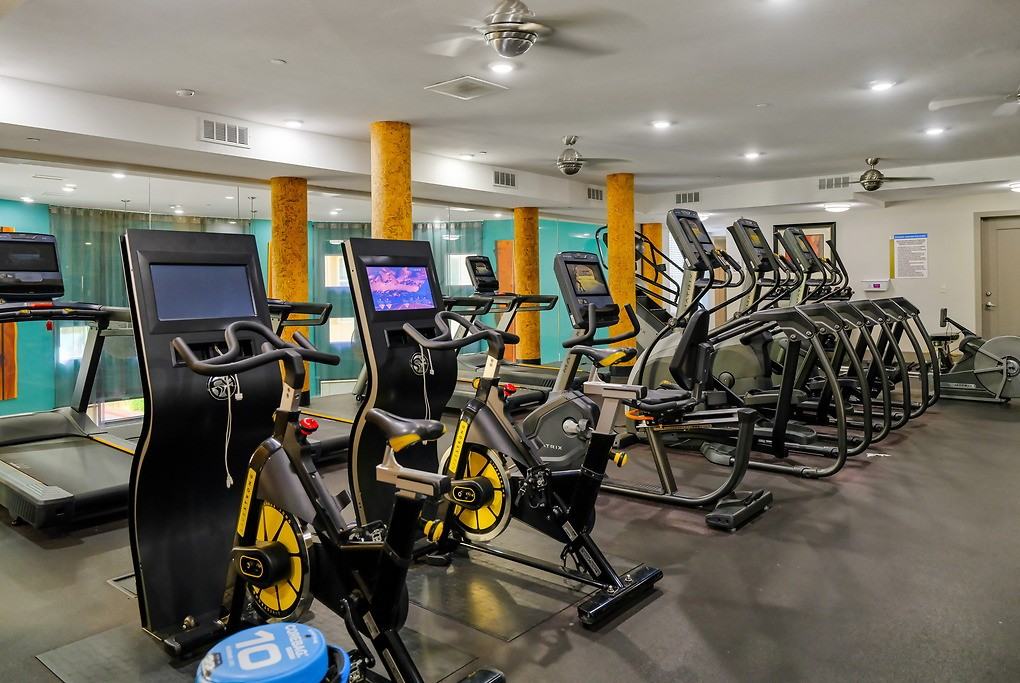 Reveal - Photo 5 of 40