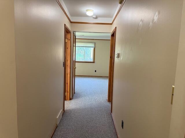 466 Elm St - Photo 3 of 14