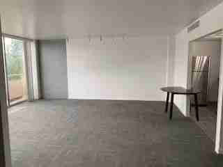 1311 Park Ave Sw #311 - Photo 7 of 7