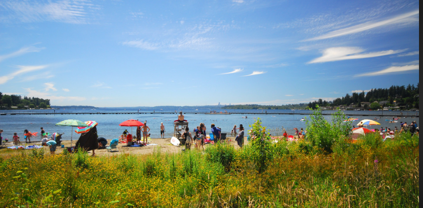 11717 93rd Avenue Northeast, Unit A-1 - Photo 2 of 15