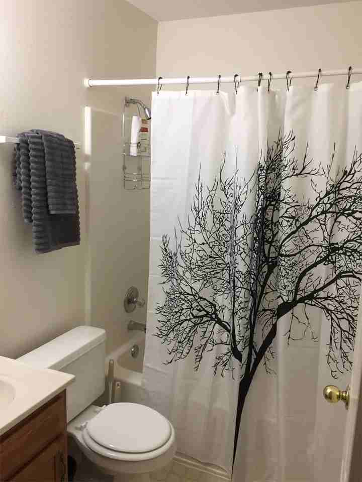 The Great Eight - Photo 6 of 18