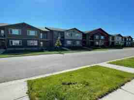 350 Water Lily - Photo 1 of 1