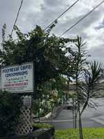 featured image of 24 Pukihae St #213