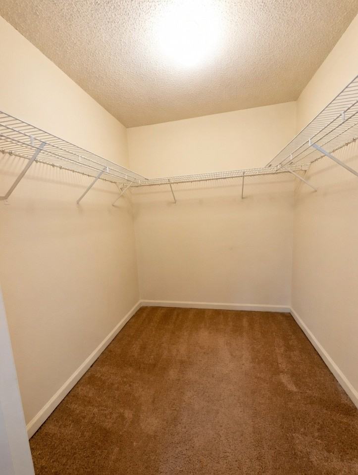 1804 Cedar Shoals Drive - Photo 7 of 9