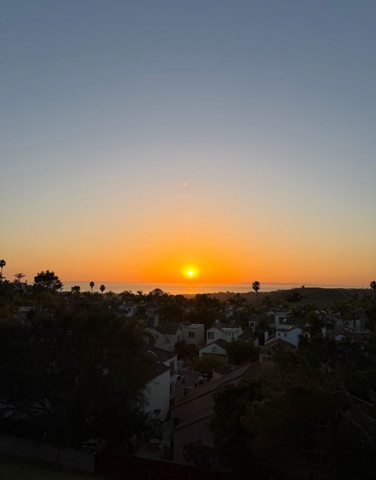 1060 Calle Del Cerro #1102 - Photo 5 of 23