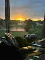 1811 Sabal Palm Dr #406 - Photo 1 of 1