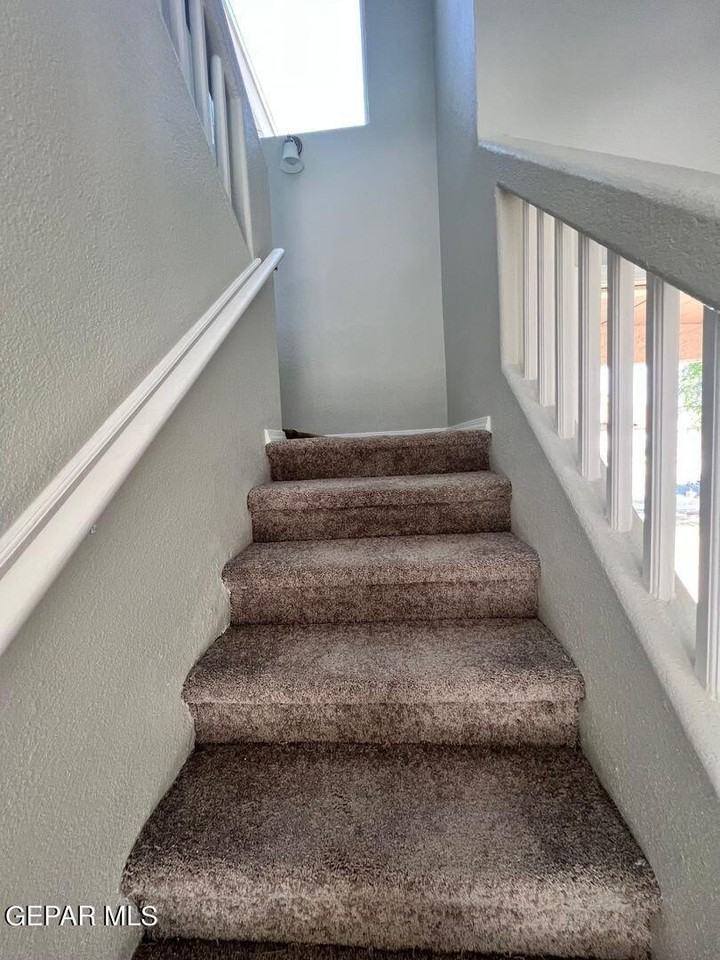 11013 Thatcher Pond Ln - Photo 4 of 15