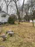 77 Wardle Ave - Photo 1 of 1