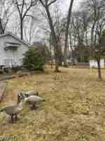 featured image of 77 Wardle Ave