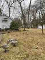 77 Wardle Ave - Photo 1 of 1