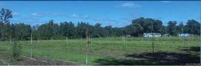 9333 E Bushnell Rd - Photo 2 of 28