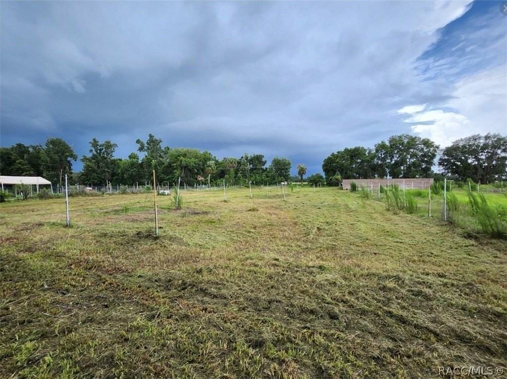 9333 E Bushnell Rd - Photo 7 of 28