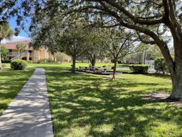 featured image of 241 Sw Palm Dr Apt 203