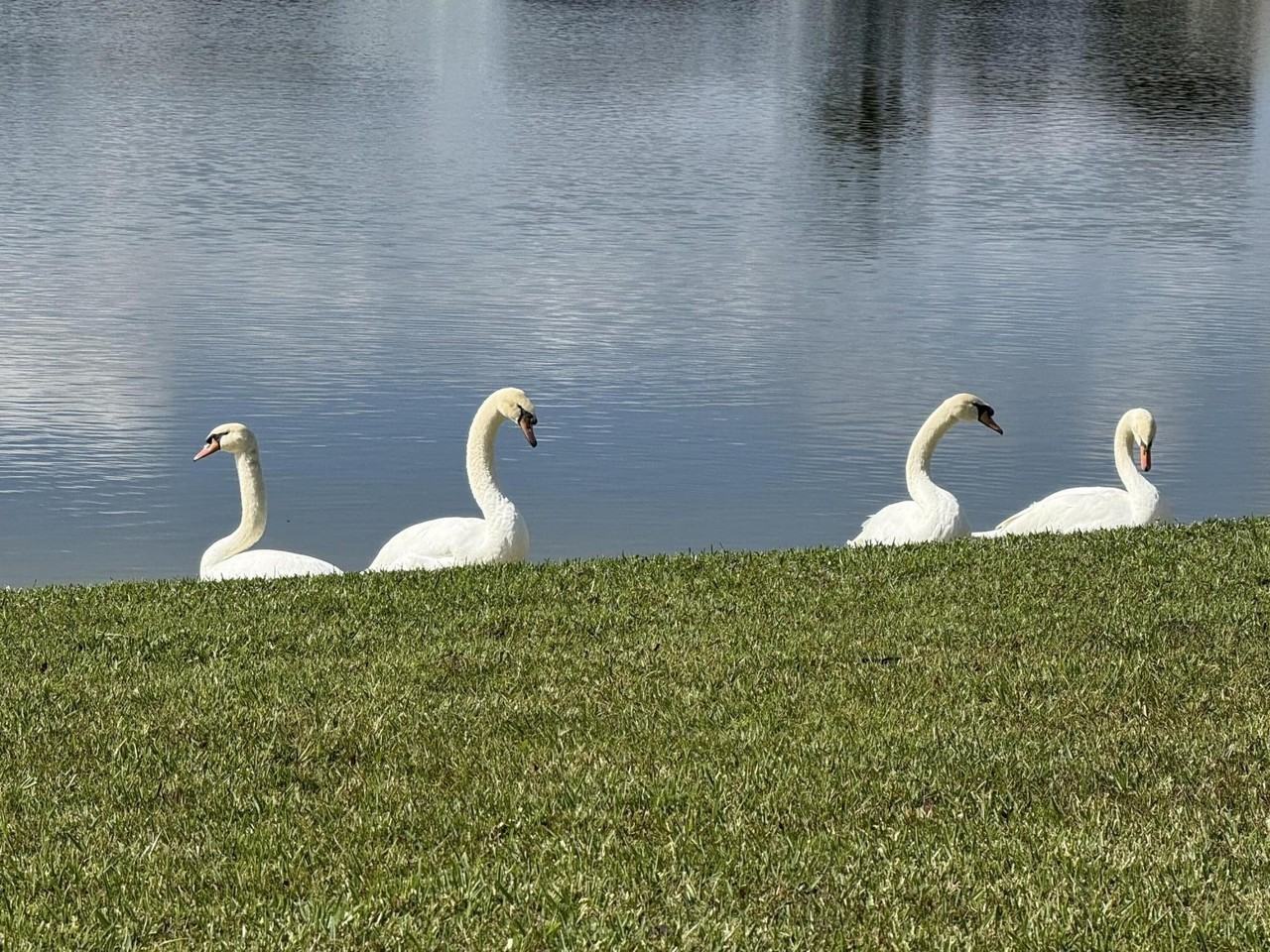 8913 Sw Chevy Cir - Photo 2 of 21