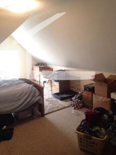 28 Brooks St #3 - Photo 6 of 6