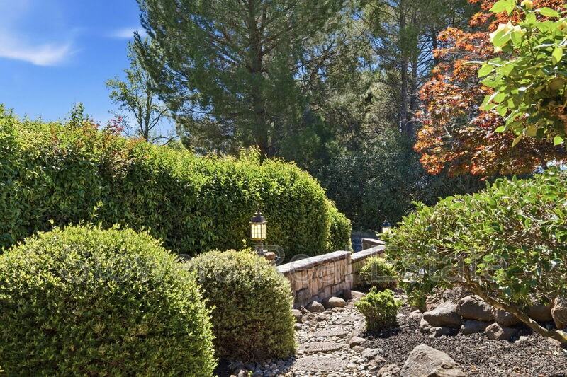 155 Mountain Canyon Pl - Photo 7 of 50