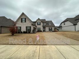 featured image of 12538 Caymus Ln