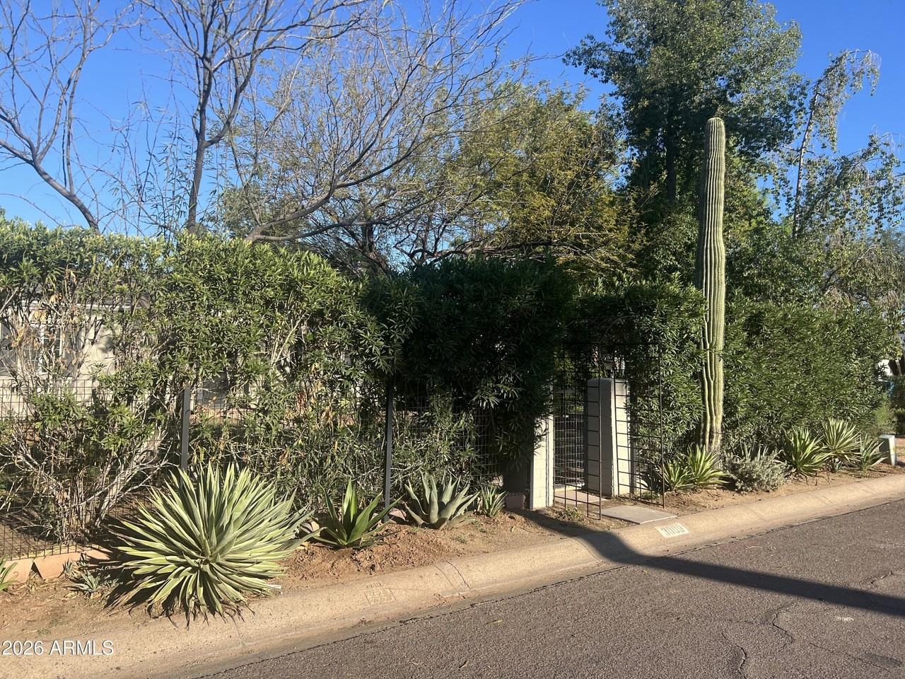 3009 N 16th Ave - Photo 2 of 28