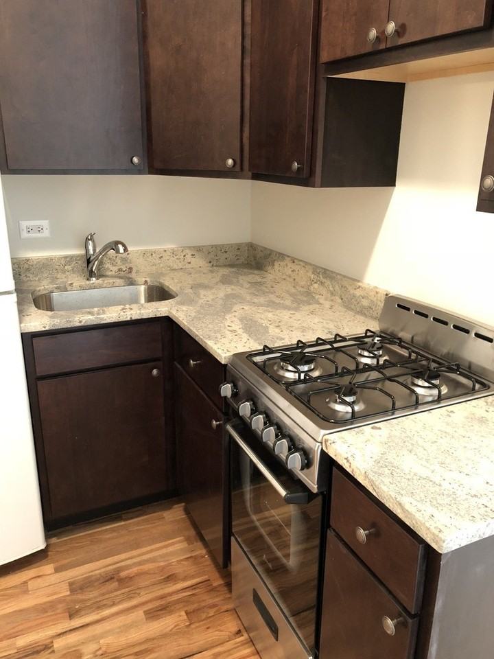 7606 N Paulina St Apt 203b - Photo 4 of 10