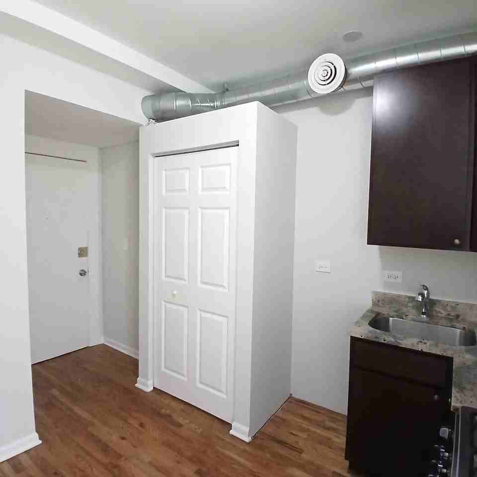 7606 N Paulina St Apt 203b - Photo 5 of 10