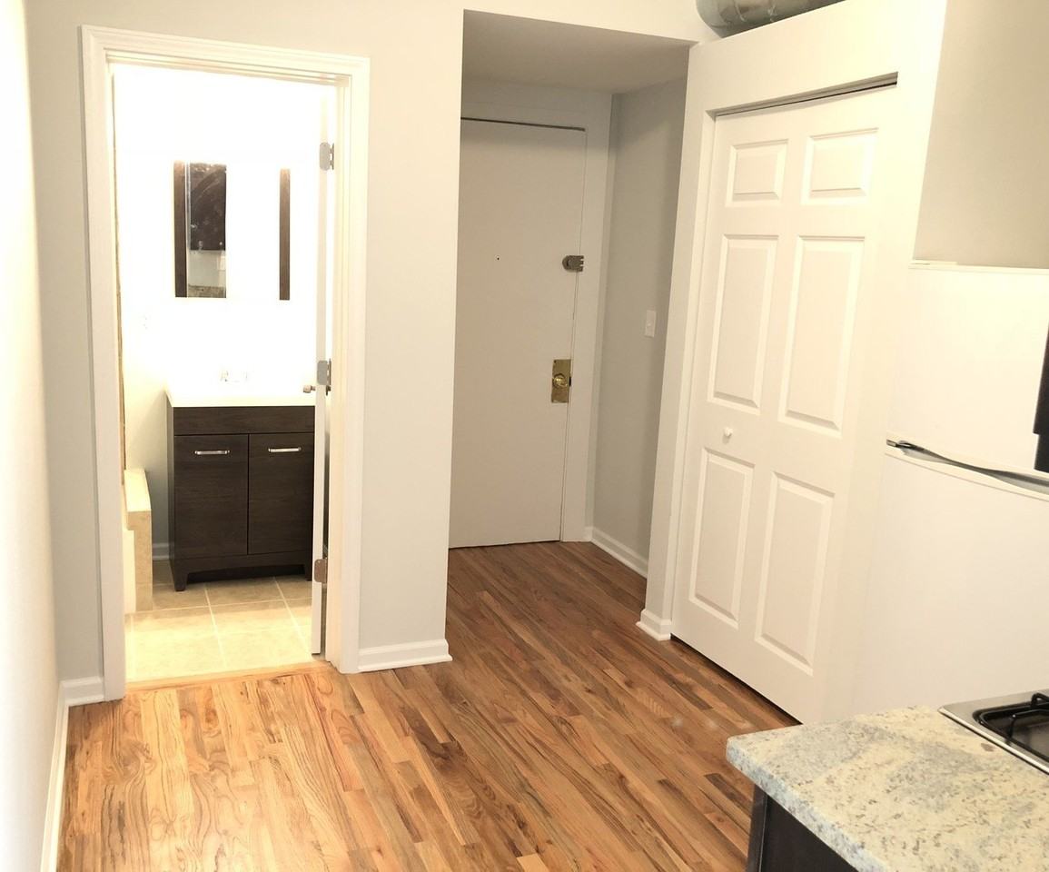 7606 N Paulina St Apt 203b - Photo 7 of 10